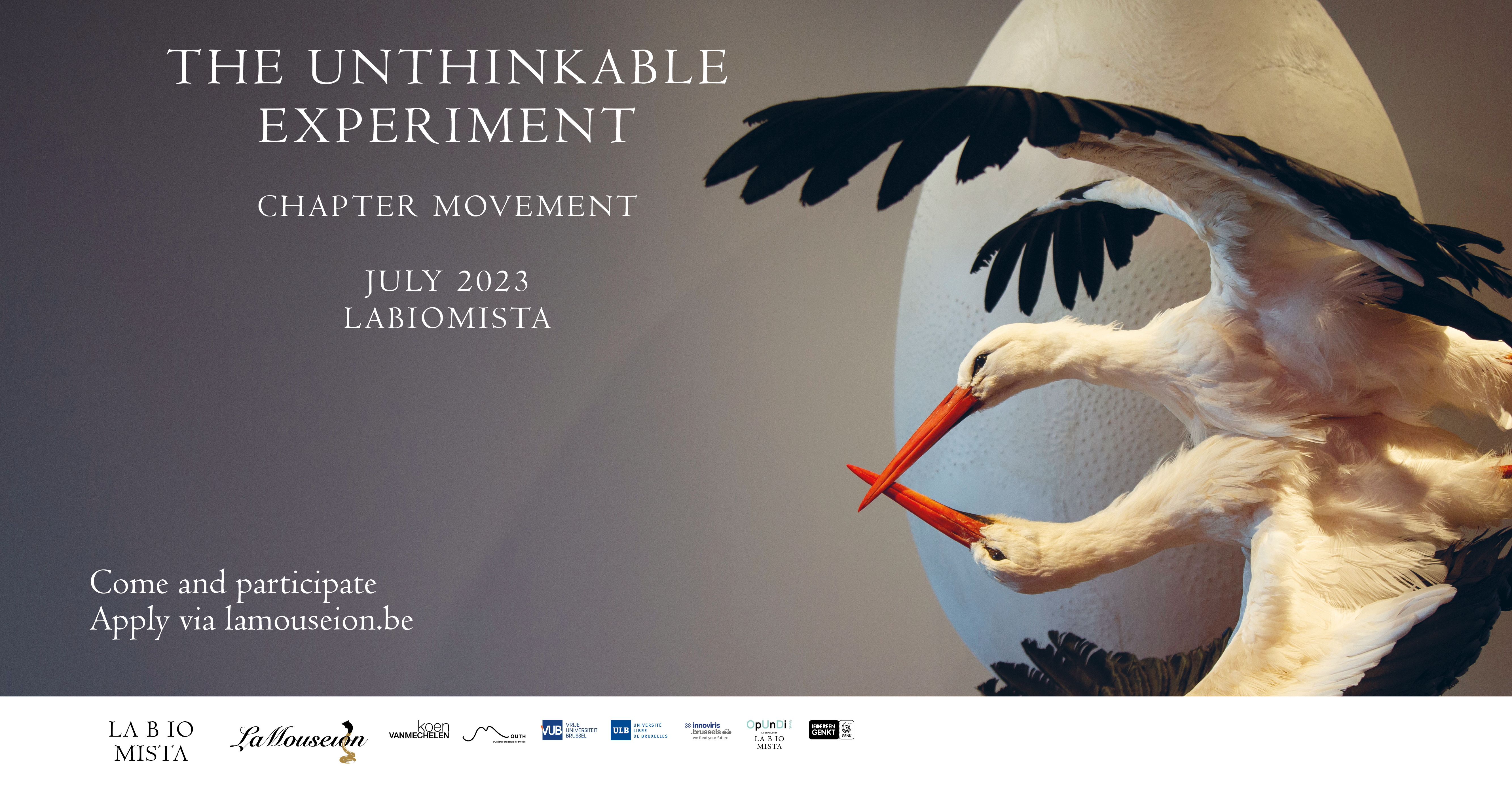 The Unthinkable Experiment Chapter Movement