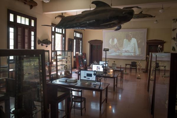 Installation view, Arena De Evolucion, Biennial of Cuba © Koen Vanmechelen