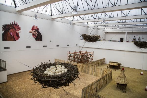 Installation view, Planetary Community Chicken, Zimbabwe, Koen Vanmechelen