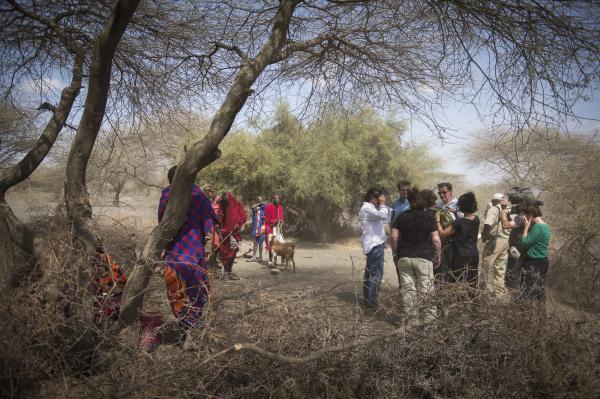 Masai, Sotwa, Arena de Evolucion © Koen Vanmechelen, photo Eliza Deacon, 2014 Masai, Sotwa, Arena de Evolucion © Koen Vanmechelen, photo Eliza Deacon, 2014