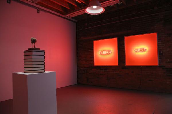 ENERGY/MASS, Wasserman Projects, Detroit (US), © Koen Vanmechelen Expo, ENERGY/MASS, Wasserman Projects, Detroit (US), © Koen Vanmechelen