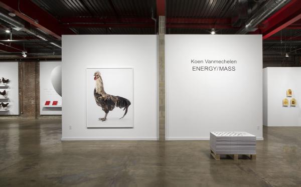 ENERGY/MASS, Wasserman Projects, Detroit (US), © Koen Vanmechelen Expo, ENERGY/MASS, Wasserman Projects, Detroit (US), © Koen Vanmechelen