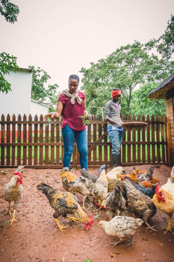 Chido Govera and the Planetary Community Chicken, ZImbabwe © Freunde von Freunde Chido Govera and the Planetary Community Chicken, ZImbabwe © Freunde von Freunde