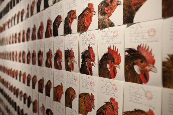 THIS IS NOT A CHICKEN Het Domein, Sittard (NL) © Koen Vanmechelen Expo, THIS IS NOT A CHICKEN Het Domein, Sittard (NL) © Koen Vanmechelen