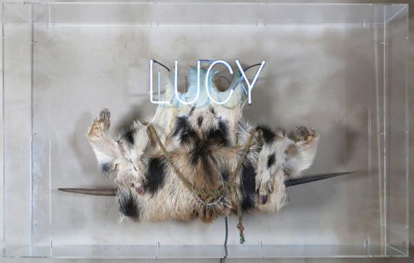 LUCY L.O.C.K. LUCY