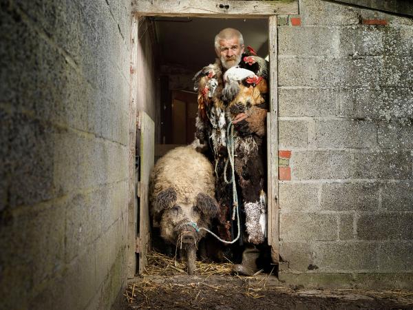LUCY © Koen Vanmechelen