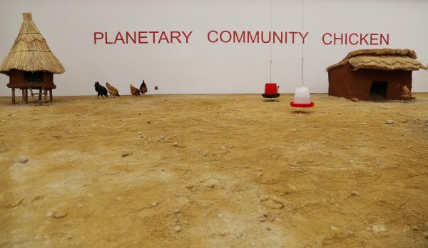 Installation view Planetary Community Chicken, National Gallery of Harare (ZW) © Koen Vanmechelen, 2016 Installation view Planetary Community Chicken, National Gallery of Harare (ZW) © Koen Vanmechelen, 2016