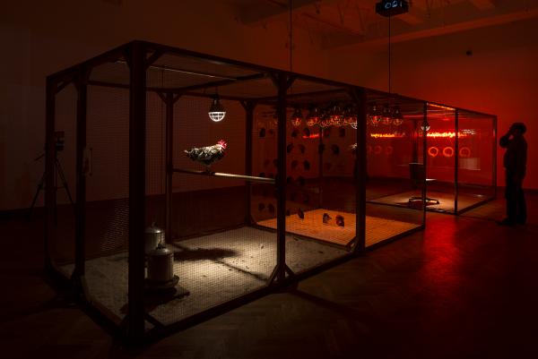 Evolution of a Hybrid, BEAF, BOZAR, 2013 © Koen Vanmechelen