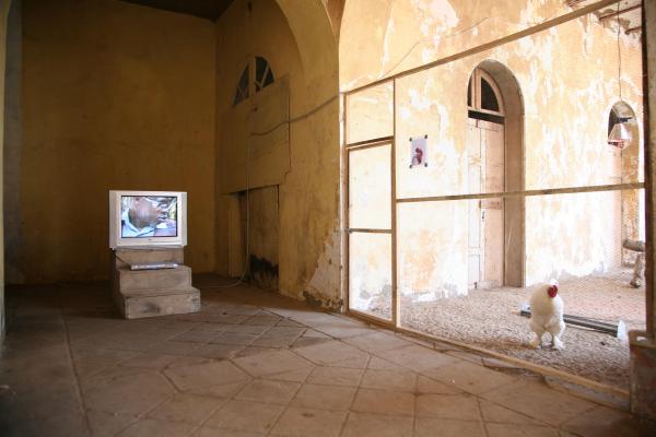 Expo, THE COSMOPOLITAN CHICKEN PROJECT - IN TRANSIT, ArtAids, Dakar, 2010 ( Senegal) © Koen Vanmechelen