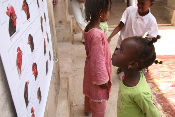 Expo, THE COSMOPOLITAN CHICKEN PROJECT - IN TRANSIT, ArtAids, Dakar, 2010 ( Senegal) © Koen Vanmechelen