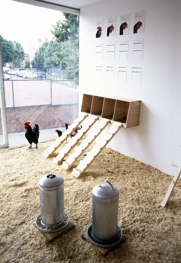 A shot in the head, Lisson Gallery, London (GB), 2000, © Koen Vanmechelen Expo, A shot in the head, Lisson Gallery, London (GB), 2000, © Koen Vanmechelen