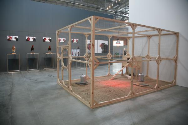 The Cosmopolitan Chicken Project - Mechelse Orloff, 13th Generation, 3rd Moscow Biennale of contemporary art, Moscow (RU), 2009 © Koen Vanmechelen Expo, The Cosmopolitan Chicken Project - Mechelse Orloff, 13th Generation, 3rd Moscow Biennale of contemporary art, Moscow (RU), 2009 © Koen Vanmechelen