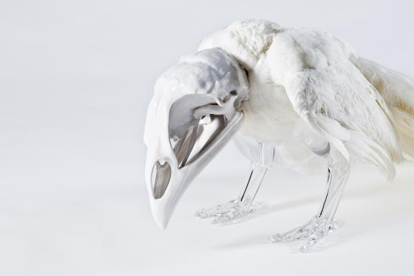 Artificial Crossbreeding
