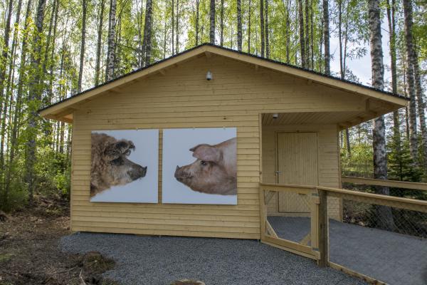 LUCY, IT'S ABOUT TIME, Serlachius Museums, Mänttä (FI), 2019 © Koen Vanmechelen, photo by Sampo Linkoneva LUCY, IT'S ABOUT TIME, Serlachius Museums, Mänttä (FI), 2019 © Koen Vanmechelen, photo by Sampo Linkoneva
