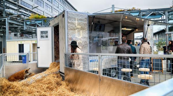 LUCY, Agri Meets Design Dutch Design Week, 2016 © Koen Vanmechelen LUCY, Agri Meets Design Dutch Design Week, 2016 © Koen Vanmechelen