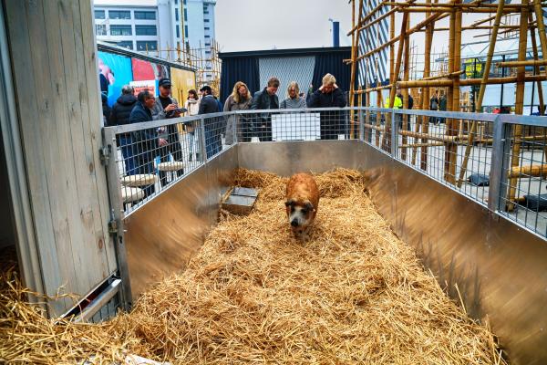 LUCY, Agri Meets Design Dutch Design Week, 2016 © Koen Vanmechelen LUCY, Agri Meets Design Dutch Design Week, 2016 © Koen Vanmechelen
