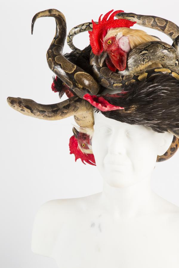 Medusa © Koen Vanmechelen Medusa © Koen Vanmechelen