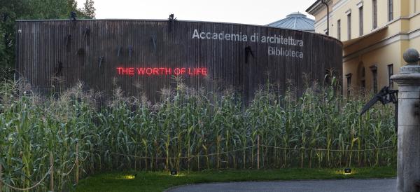 The Worth of Life © Koen Vanmechelen. Photo ©PhotoEnricoCano The Worth of Life © Koen Vanmechelen. Photo ©PhotoEnricoCano