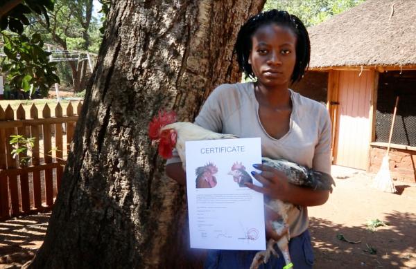 Hukukhulu at the Global Open Farm, Zimbabwe © Koen Vanmechelen Hukukhulu at the Global Open Farm, Zimbabwe © Koen Vanmechelen