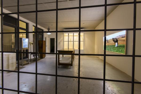 Awakener, Wilford X © Koen Vanmechelen, photo Alex Deyaert Awakener, Wilford X © Koen Vanmechelen, photo Alex Deyaert