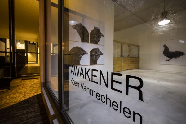 Awakener, Wilford X © Koen Vanmechelen, photo Alex Deyaert Awakener, Wilford X © Koen Vanmechelen, photo Alex Deyaert