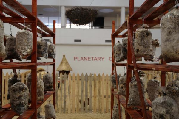 Planetary Community Chicken, National Gallery of Zimbabwe © Koen Vanmechelen Planetary Community Chicken, National Gallery of Zimbabwe © Koen Vanmechelen