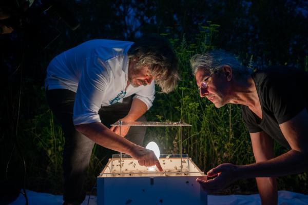 LABIOMISTA_KrisVervaeke LABIOMISTA_KrisVervaeke