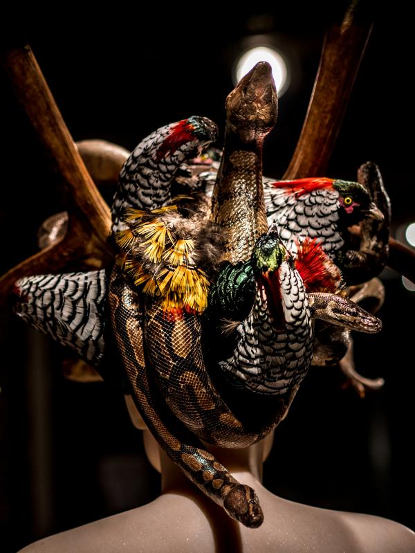 Do Not Argue, Louise Gallery, Durbuy (BE) © Koen Vanmechelen, 2020, Photo Charles Ruys Do Not Argue, Louise Gallery, Durbuy (BE) © Koen Vanmechelen, 2020, Photo Charles Ruys