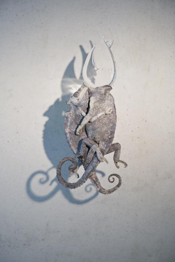 Theriantropy ©Koen Vanmechelen
