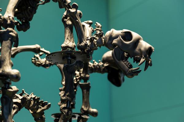 Ai Weiwei, Black Chandelier in Murano Glass (detail), GLASSTRESS, State Hermitage, Russia, 2021, photo by Svetlana Ragina Ai Weiwei, Black Chandelier in Murano Glass (detail), GLASSTRESS, State Hermitage, Russia, 2021, photo by Svetlana Ragina