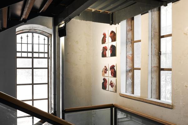 Crossquery, The Jerusalem Biennale, 2021 © Koen Vanmechelen, photo Dor Kedmi