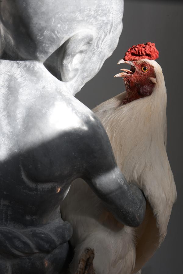 Crossquery, The Jerusalem Biennale, 2021 © Koen Vanmechelen, photo Dor Kedmi