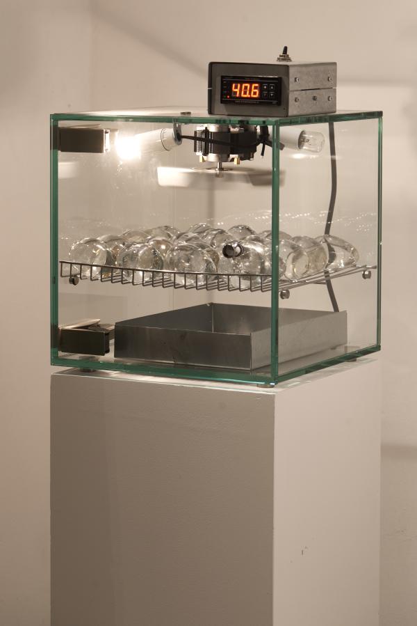 Crossquery, The Jerusalem Biennale, 2021 © Koen Vanmechelen, photo Dor Kedmi