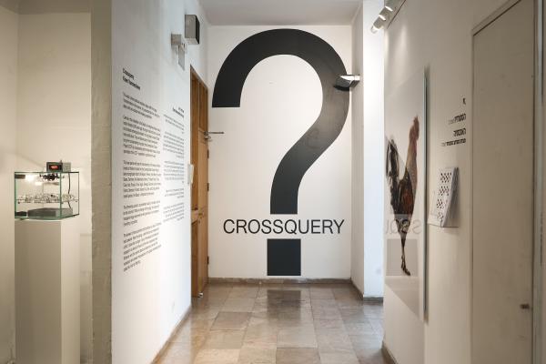 Crossquery, The Jerusalem Biennale, 2021 © Koen Vanmechelen, photo Dor Kedmi
