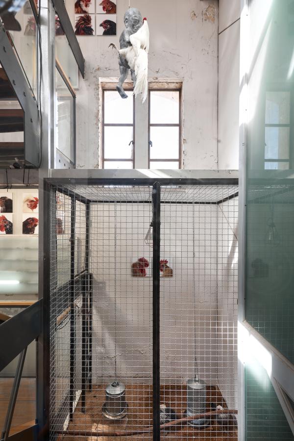 Crossquery, The Jerusalem Biennale, 2021 © Koen Vanmechelen, photo Dor Kedmi