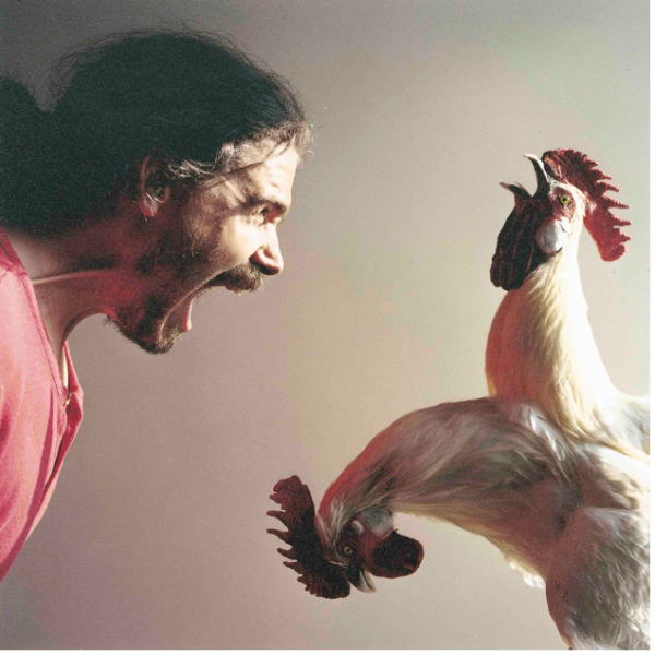 The Chickens Appeal The Chickens Appeal
