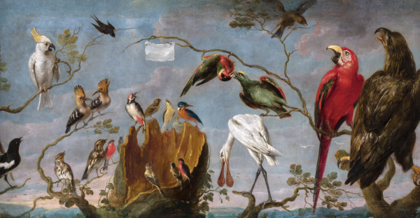 Frans Snyders, Concert d’oiseaux ou Oiseaux chantant avec une partition, 1629-1630, Madrid, Museo Nacional del Prado © Photographic Archive, Museo Nacional del Prado, Madrid Frans Snyders, Concert d’oiseaux ou Oiseaux chantant avec une partition, 1629-1630, Madrid, Museo Nacional del Prado © Photographic Archive, Museo Nacional del Prado, Madrid