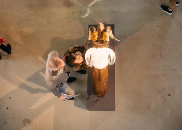 Open Studio Koen Vanmechelen 2022 © Photo Annika Wallis Open Studio Koen Vanmechelen 2022 © Photo Annika Wallis