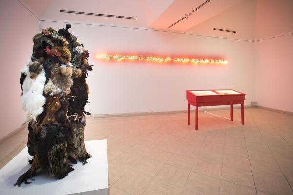 Medusa's Hope, Museo Nacional de Bellas Artes Cuba, Havana © Koen Vanmechelen, 2022, photo by Juan Carlos Romero