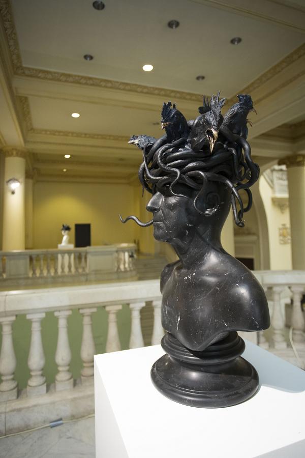 Medusa's Hope, Museo Nacional de Bellas Artes Cuba, Havana © Koen Vanmechelen, 2022, photo by Juan Carlos Romero