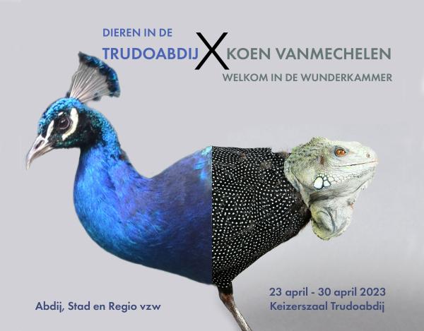 © Abdij, Stad en Regio vzw 
