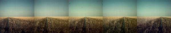 Ger Dekkers, Reed Land and Ditch, Flevoland, 1978, foto, Collectie Gemeente Enschede.jpg
