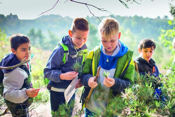 Junior Ranger, Mechelse Heide ©Rudi Van Beek Junior Ranger, Mechelse Heide ©Rudi Van Beek