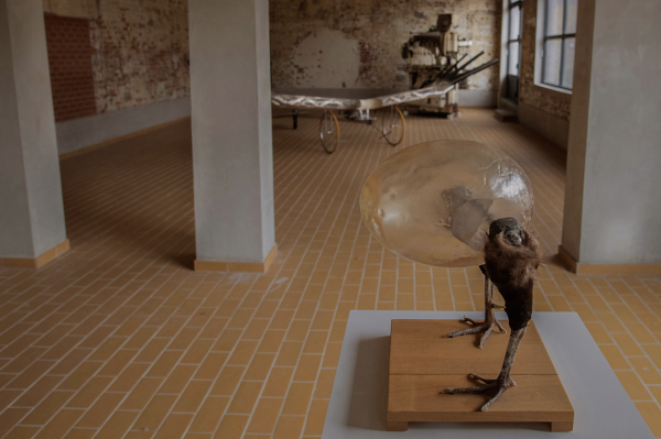 The Walking Egg © Koen Vanmechelen, photo by © Michaël Depestele The Walking Egg © Koen Vanmechelen, photo by © Michaël Depestele
