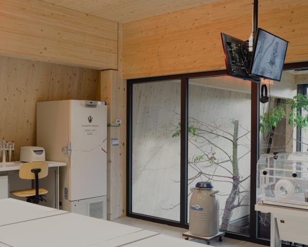 Future Garden photo by Jeroen Verrecht Future Garden photo by Jeroen Verrecht