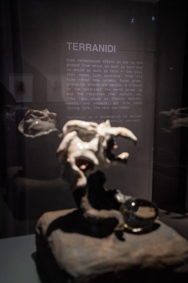 TERRANIDI