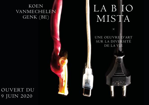 LABIOMISTA 2020