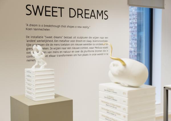 Sweet Dreams © Koen Vanmechelen photo by Sien Van den Eynde