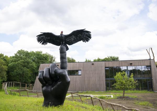 Future Garden © Koen Vanmechelen Photo By Paul Reinquin