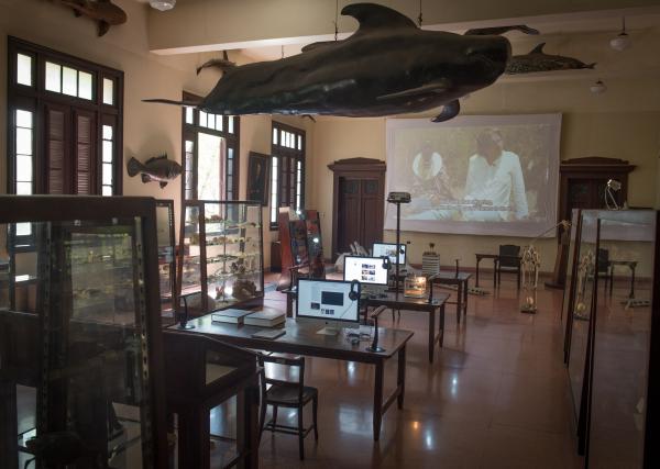Installation view, Arena De Evolucion, Biennial of Cuba © Koen Vanmechelen